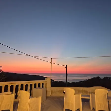 B&B Dimorangel-3